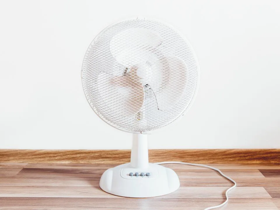 Editorial lifestyle photograph for a fan that works with your room.
